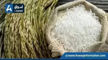 سعر الأرز اليوم الخميس عند التاجر.. بكم طن الشعير؟ | أسعار السلع